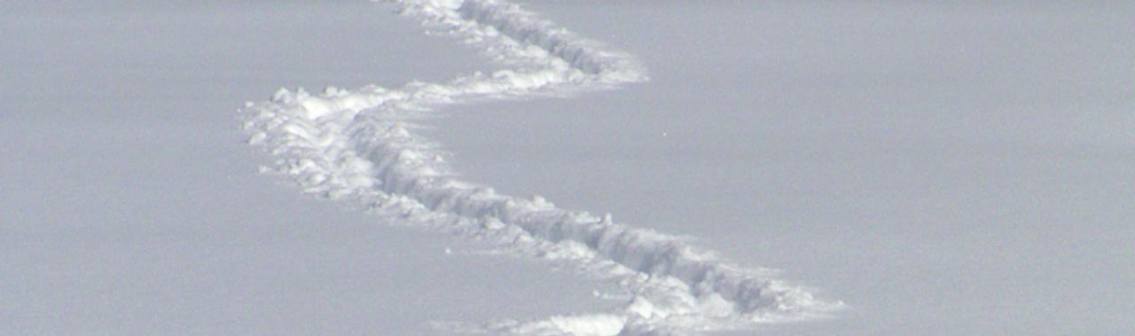 cropped: snow trails 