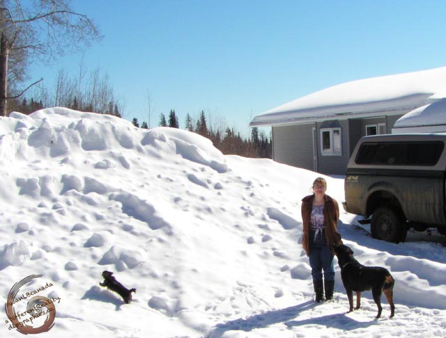 huge pile of snow lady two dogs, house in background