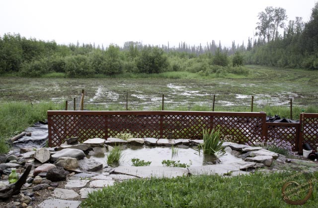 rainy view of pasture, garden and rock pond