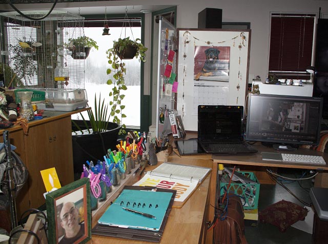 tidy L-shaped computer desk with bulletin board, computer, coloured pens, work table, plants, canary
