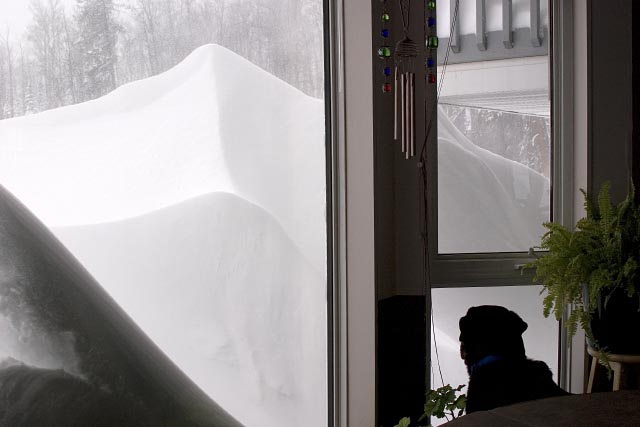 huge drifts of snow agains window, rottweiler looking outside