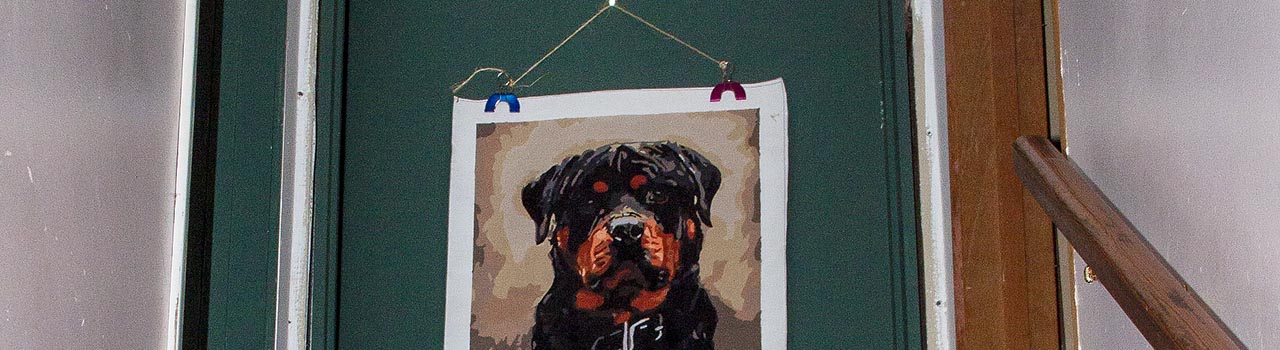 Cropped image: rottie face-green door