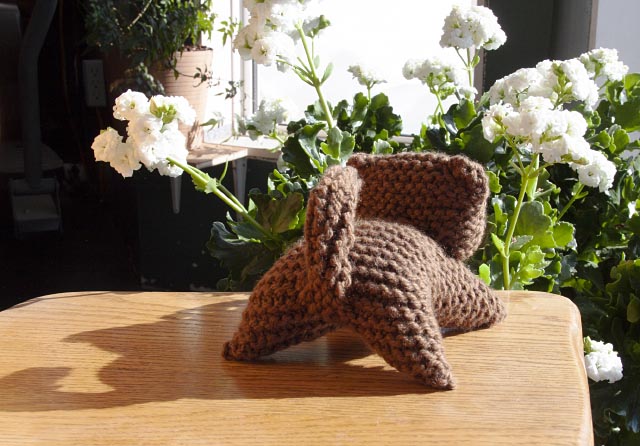 view kittens tail from behind