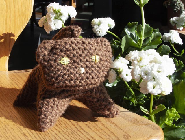 kitten on oat chair 3/4 view